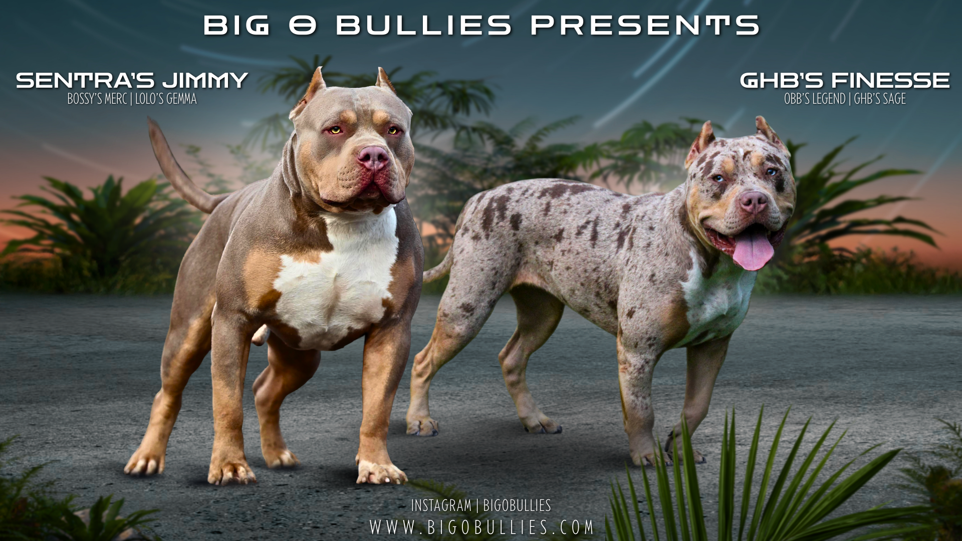 Jimmy & Finesse Banner R2